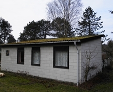 rylevej_12_477